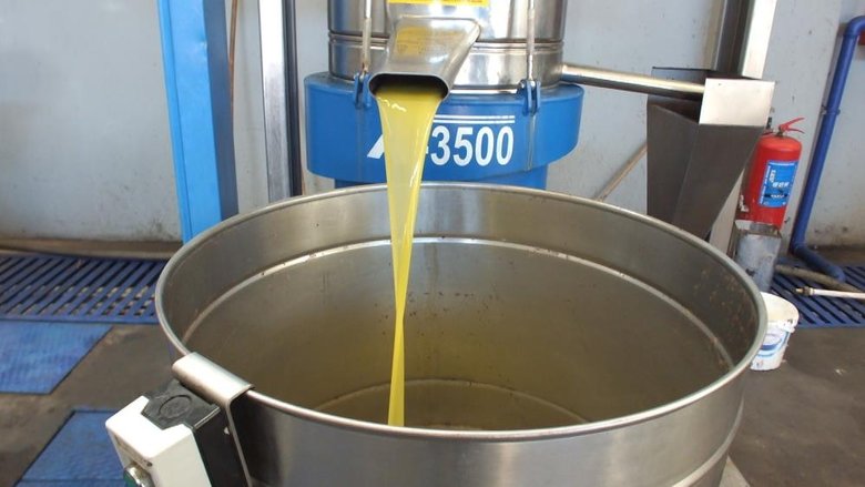 Balıkesir’de zeytin üreticileri zor günler yaşıyor