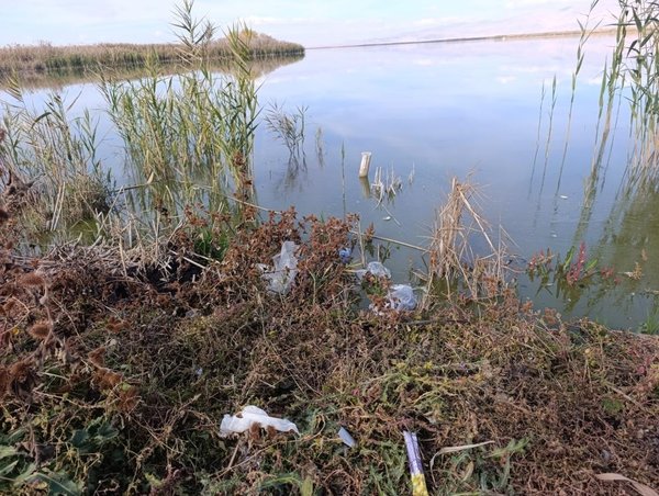 Eber Gölü kuraklığın ardından şimdi de kirlilik ile gündemde