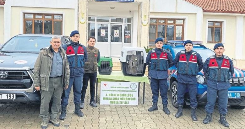 Maymun besleyen kişiye 10 bin lira ceza