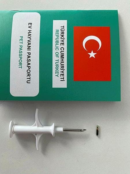 Evcil hayanı olanlara uyarı: Son tarih 31 Aralık