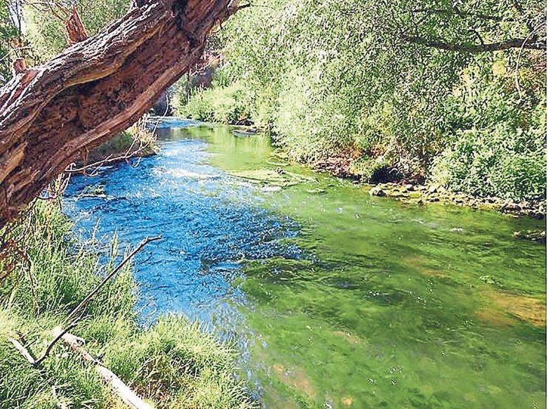 Muğla’nın taçsız kraliçesi: Milas