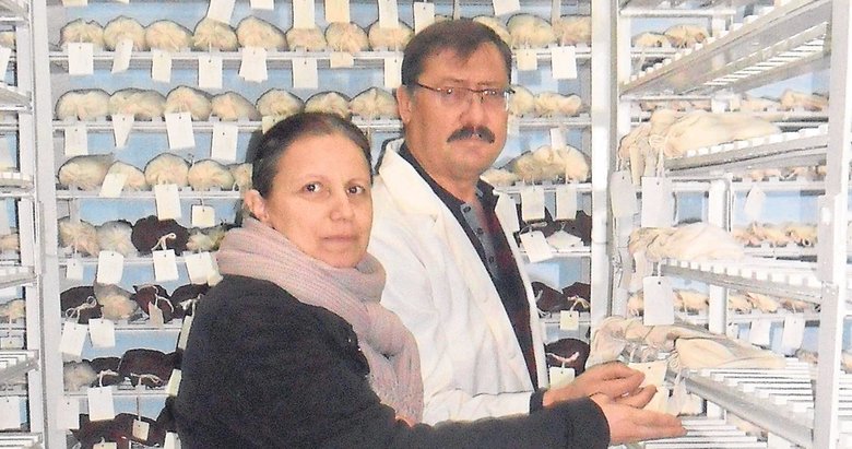 turkiye nin tohum ambari yasam haberleri