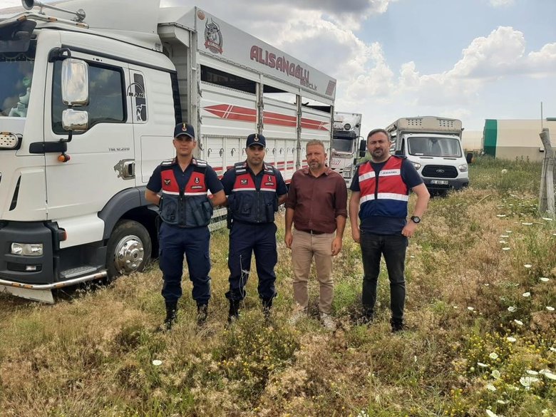 Bayram öncesi vurgun! Çiftlikte çalışan bakıcı 28 ineği çaldı 3,5 milyona sattı