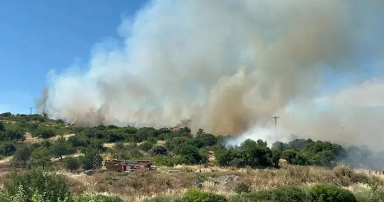 SON DAKİKA: Çanakkale’de orman yangını