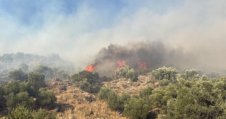 Nazillili Neron yakalandı