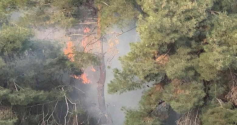 Kış mevsiminde orman yangını paniğe neden oldu