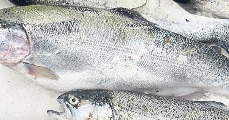 Somon’un diğer ülkelere satışı 520 milyon doları aştı