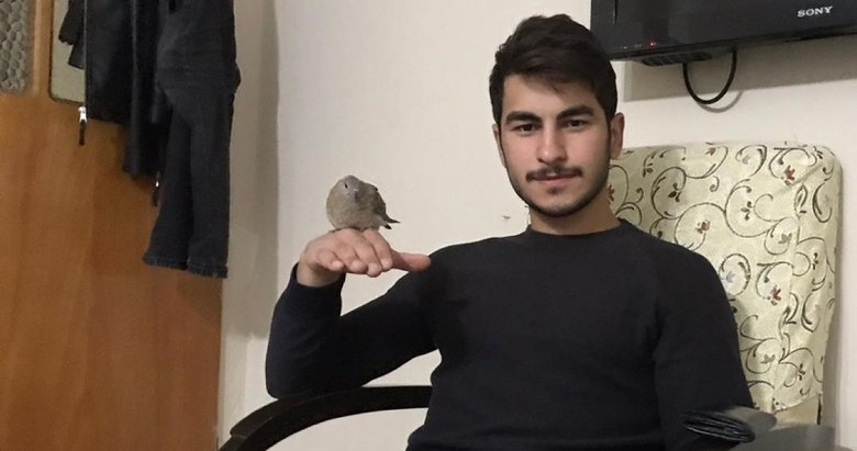 Bahçesinde bulduğu yaralı kumruya evinde bakıyor