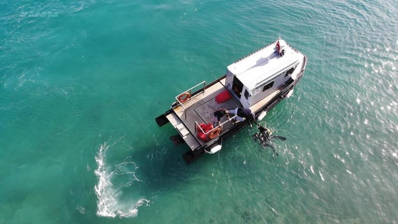 https www yeniasir com tr ege mugla 2021 02 25 copten degil denizden cikti goren gozlerine inanmadi