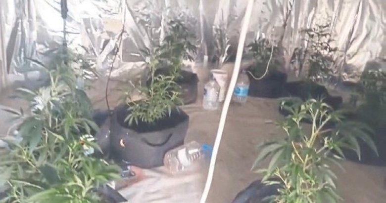 Kuşadası’nda serada zehir üretimine ağır darbe