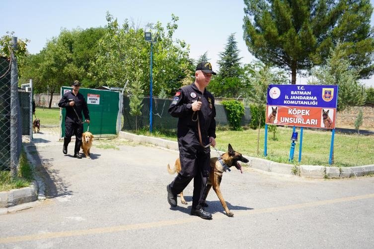 Jandarmanın hassas burunları suçlulara göz açtırmıyor