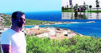 Yüzlerce ağacı görmezden geldi! Ekrem İmamoğlu ve ailesinden havuzlu villalar için ağaç katliamı