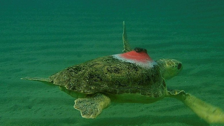 ‘Güzel İzmir’ 4 günde 18 mil yol aldı, ilk durağı Samos oldu