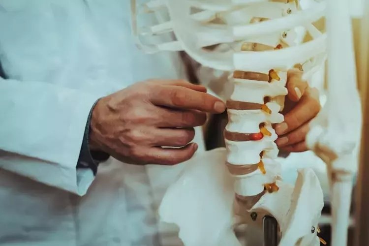 Kemik erimesi osteoporoz nedir, neden olur? Kemik erimesi belirtileri nelerdir?