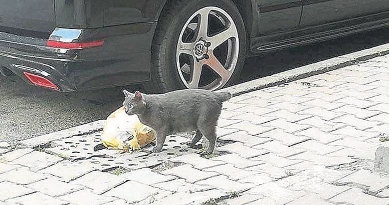 yeni asir