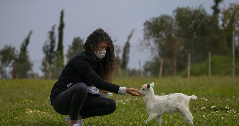 Çocukluk hayalinin peşinden gidip tek başına çiftlik kurdu