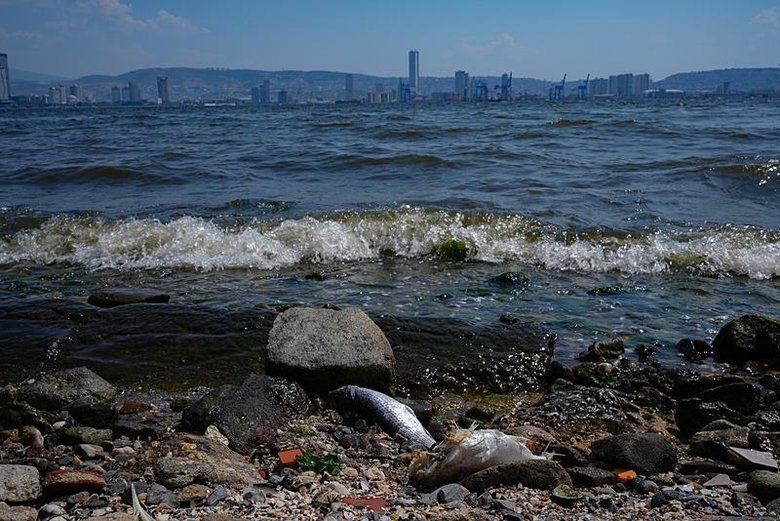 İzmir Körfezi’nde balık tutulmaması konusunda uyarıcı afişler asıldı