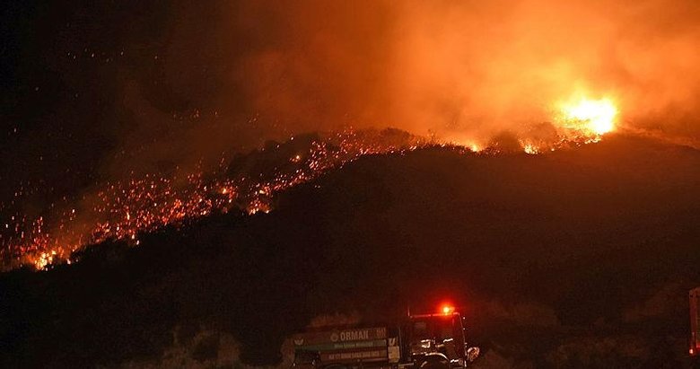 Bodrum’da çıkan yangında 5 hektarlık makilik alan kül oldu