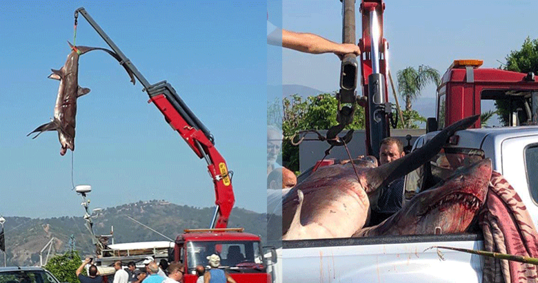 Jaws Fethiye’ye geldi!