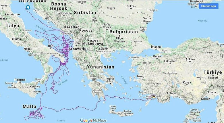 Caretta Tuba 15 bin kilometre katetti, 6 milyon kişi izledi