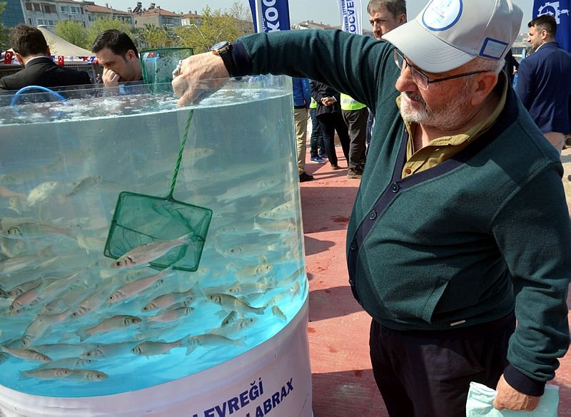 6 bin balık yavrusu bırakıldı