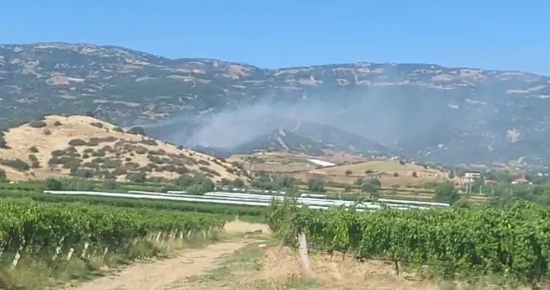 SON DAKİKA: Manisa’da orman yangını