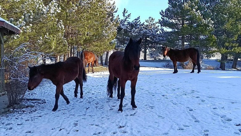 Spil Dağı beyaza büründü: İzmirliler kar keyfi yaptı
