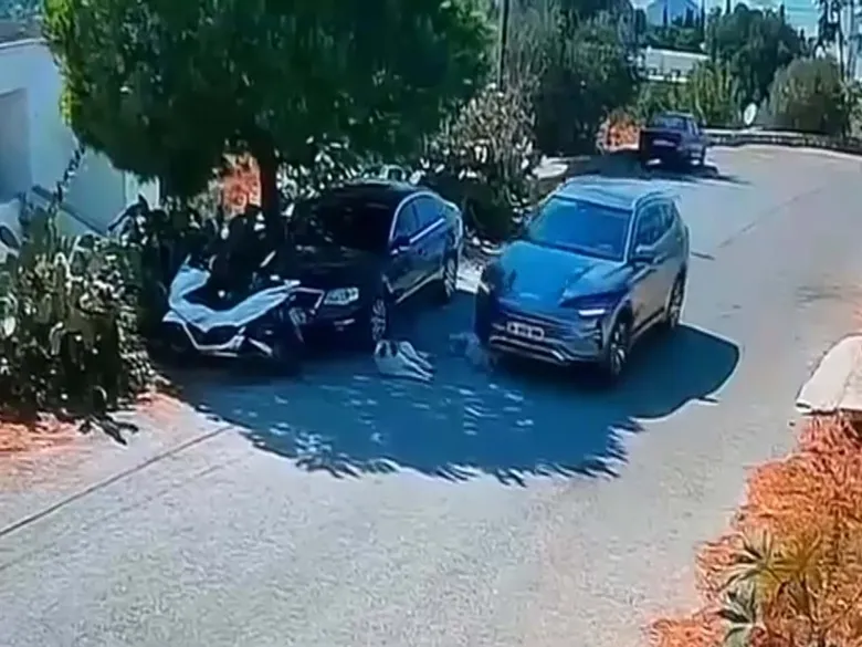 mugla-bodrumda-kan-donduran-goruntu-iki-kopegin-uzerinden-gecip-yoluna-devam-etti-1789756070896.jpeg