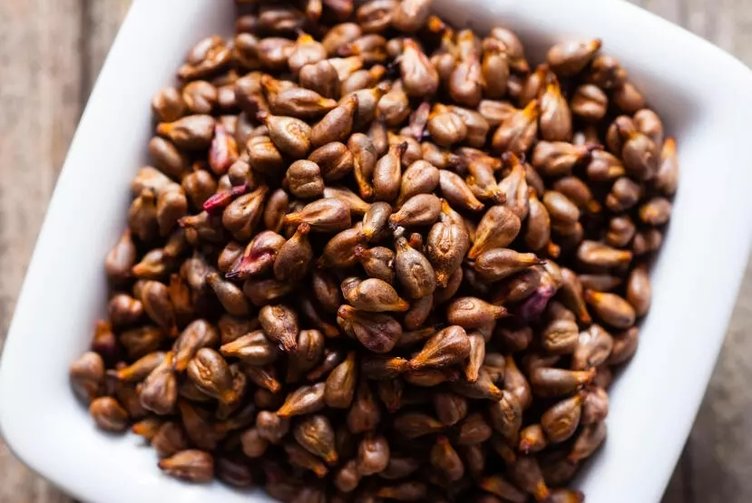 Üzüm çekirdeği hangi hastalıklara iyi gelir? Faydaları nelerdir?