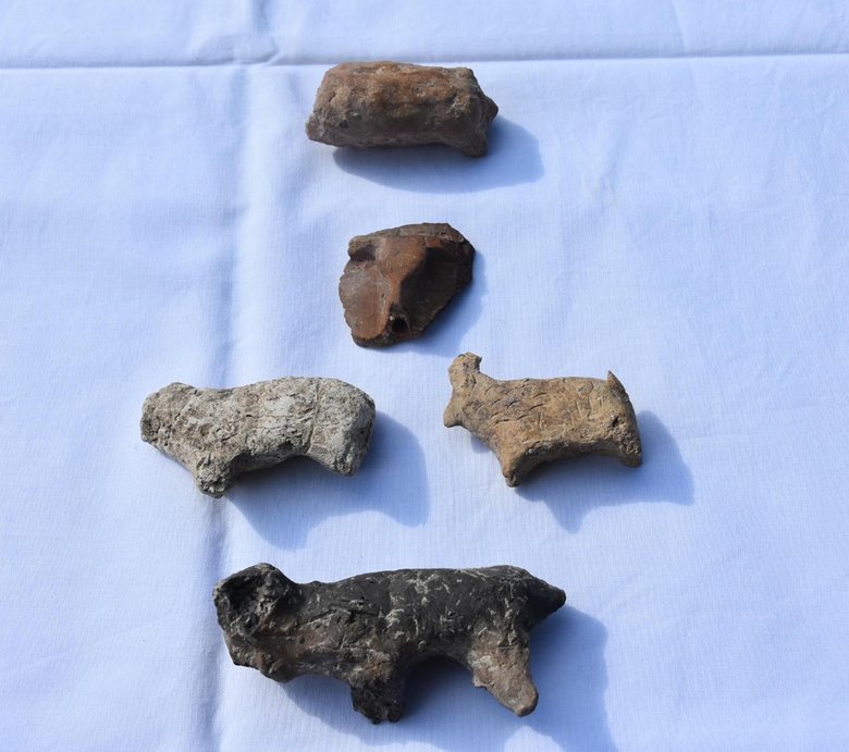 İzmir’deki Ulucak Höyüğü’nde bulundu! 8 bin 500 yıllık