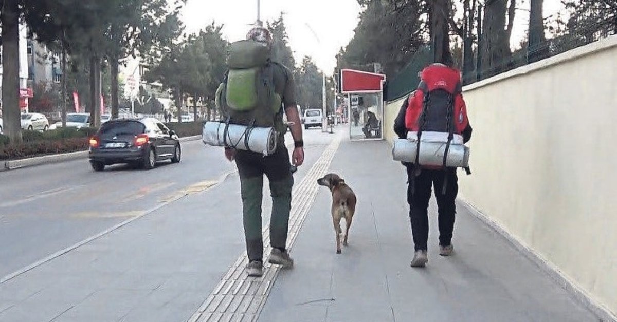 4 yıl önce yola çıktılar! Köpeği ile Türkiye’yi gezip fidan dikiyor