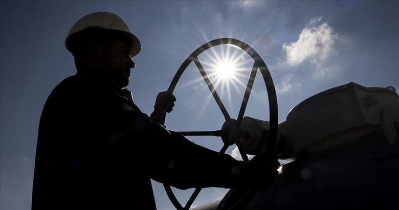 Şebekeye doğal gaz girişinde şubatta tüm zamanların rekoru kırıldı