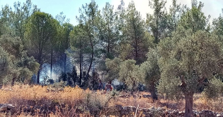 Milas’taki yangın söndürüldü