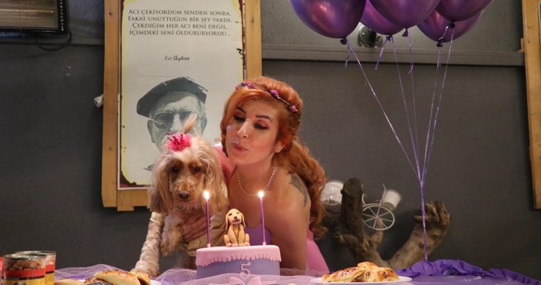 Köpeği için doğum günü partisi düzenledi
