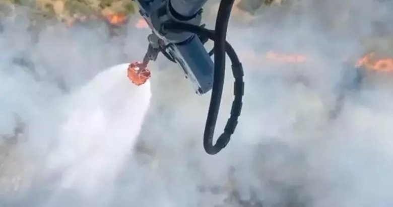 İzmir’de orman yangını