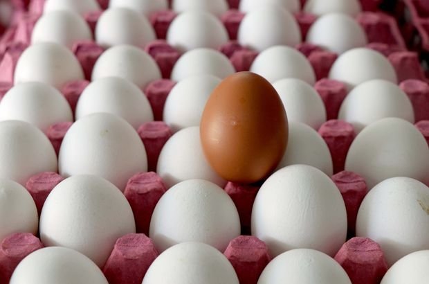 Eğer yumurtayı dolaba bu şekilde koyuyorsanız dikkat!