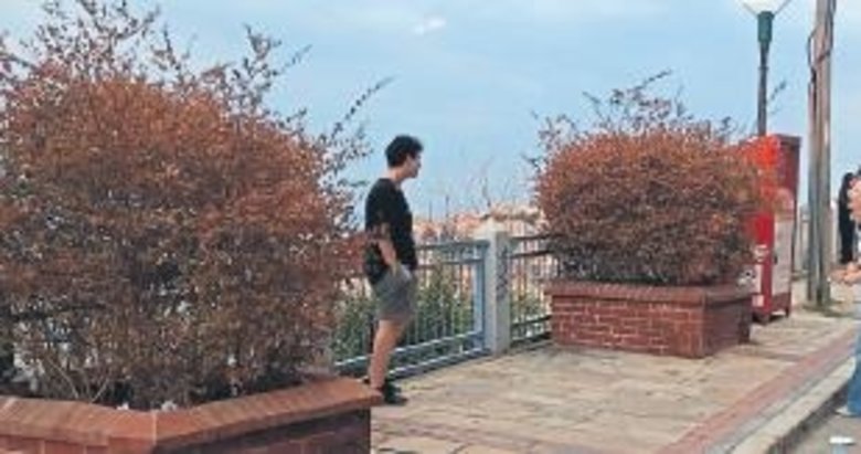 Tarihi Asansör’ün çevresindeki bitkiler susuzluktan kurudu