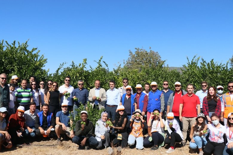 Mandalinalar ihtiyaç sahipleri için hasat edildi