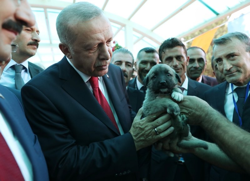 Başkan Erdoğan’a Sivas’ta sürpriz hediye