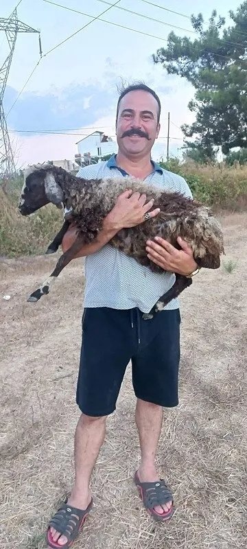 Bütün şehir o katili arıyor: Çöp kamyonunda arkadaşının boğazını kesti!