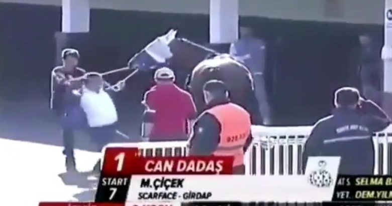 İzmir Şirinyer Hipodromu’nda Can Dadaş isimli yarış atına şiddetle ilgili TJK’dan açıklama