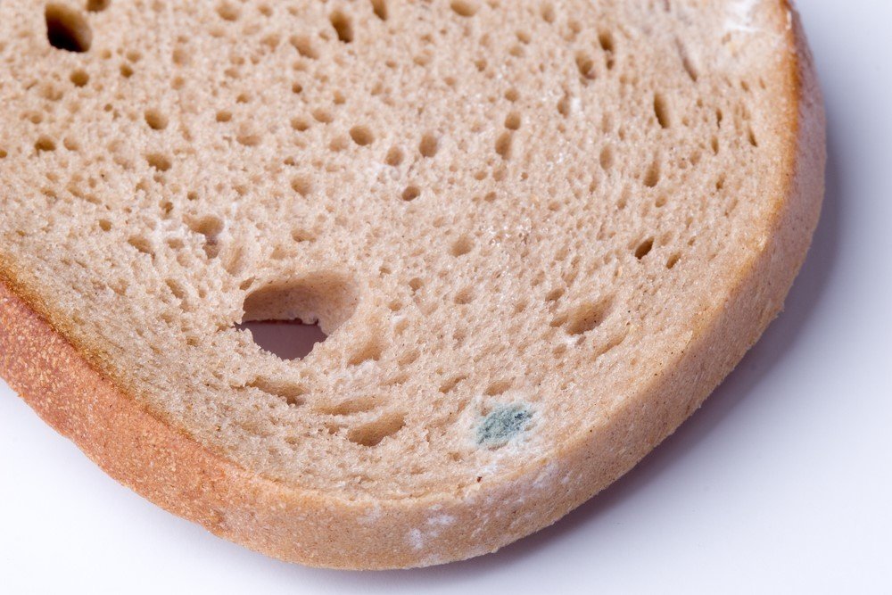 Küflü ekmek yemek tehlikeli mi? Küflü ekmek yenilirse ne olur?