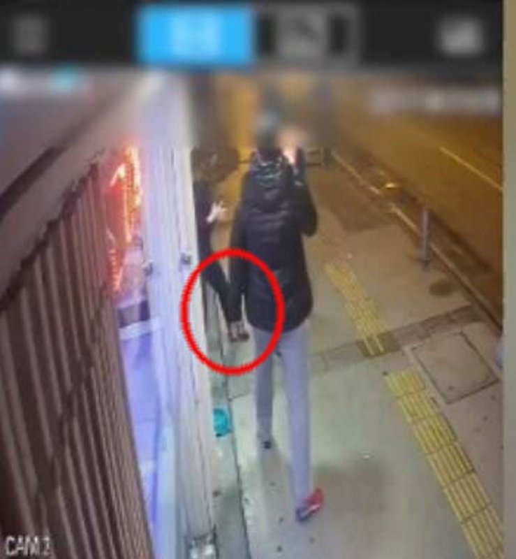 Köpek sahibi kadın veterinere tekme attı