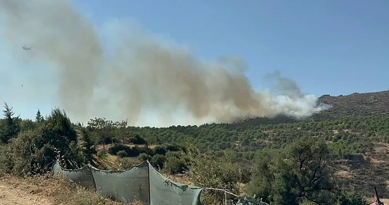 Son dakika: İzmir Ödemiş’te orman yangını