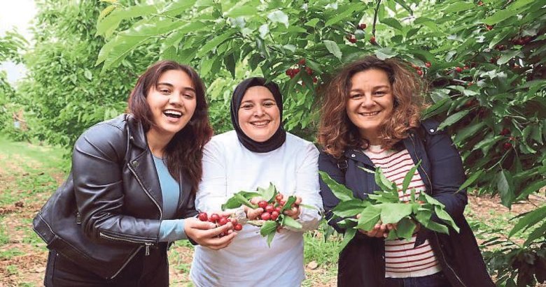 Kiraz Hasat Şenliği’ne gençler enerji kattı