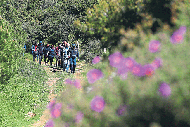 8 bin yıllık tarihi rota Efes-Mimas Yolu