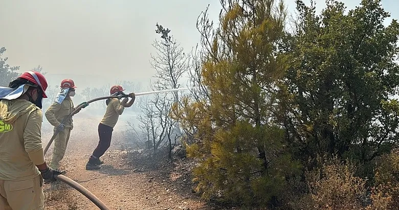 Balıkesir’de orman yangını! Havadan ve karadan müdahale