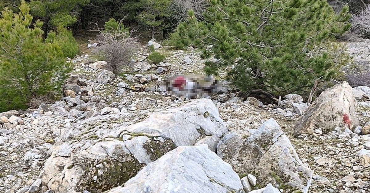Aydın'da define vahşetinde yeni gelişme! "Kendi canına kıydı" süsü vermek istemişler! 4 kişi tutuklandı