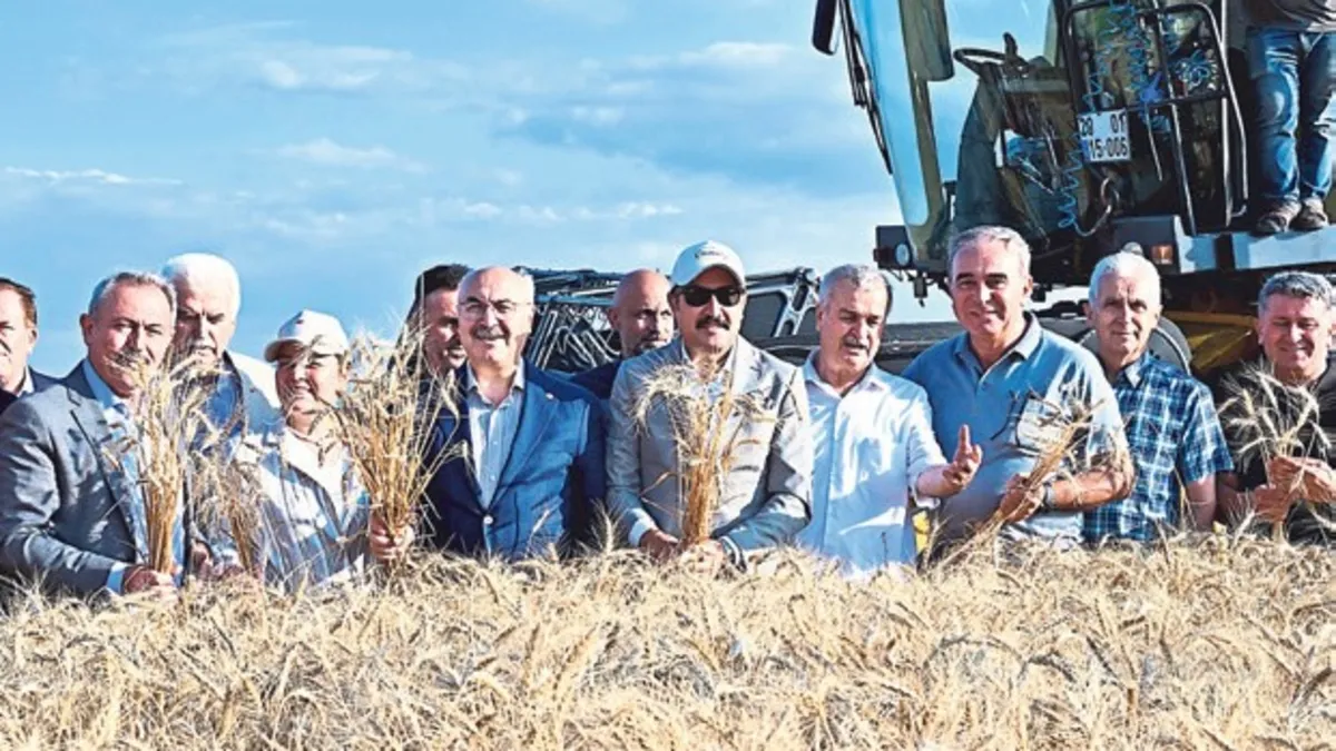 Denizli’de buğdayın yeni çeşitleri sahada