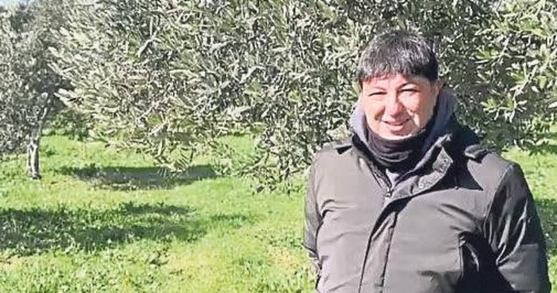 Soguk hava zeytin üreticilerini sevindirdi